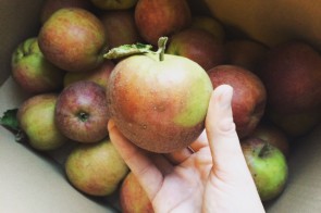 Suikervrije appelmoes met dadels & kaneel